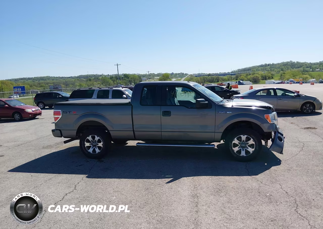 2013 Ford F-150 Stx VIN:1FTFX1EF1DKF14488 - 13