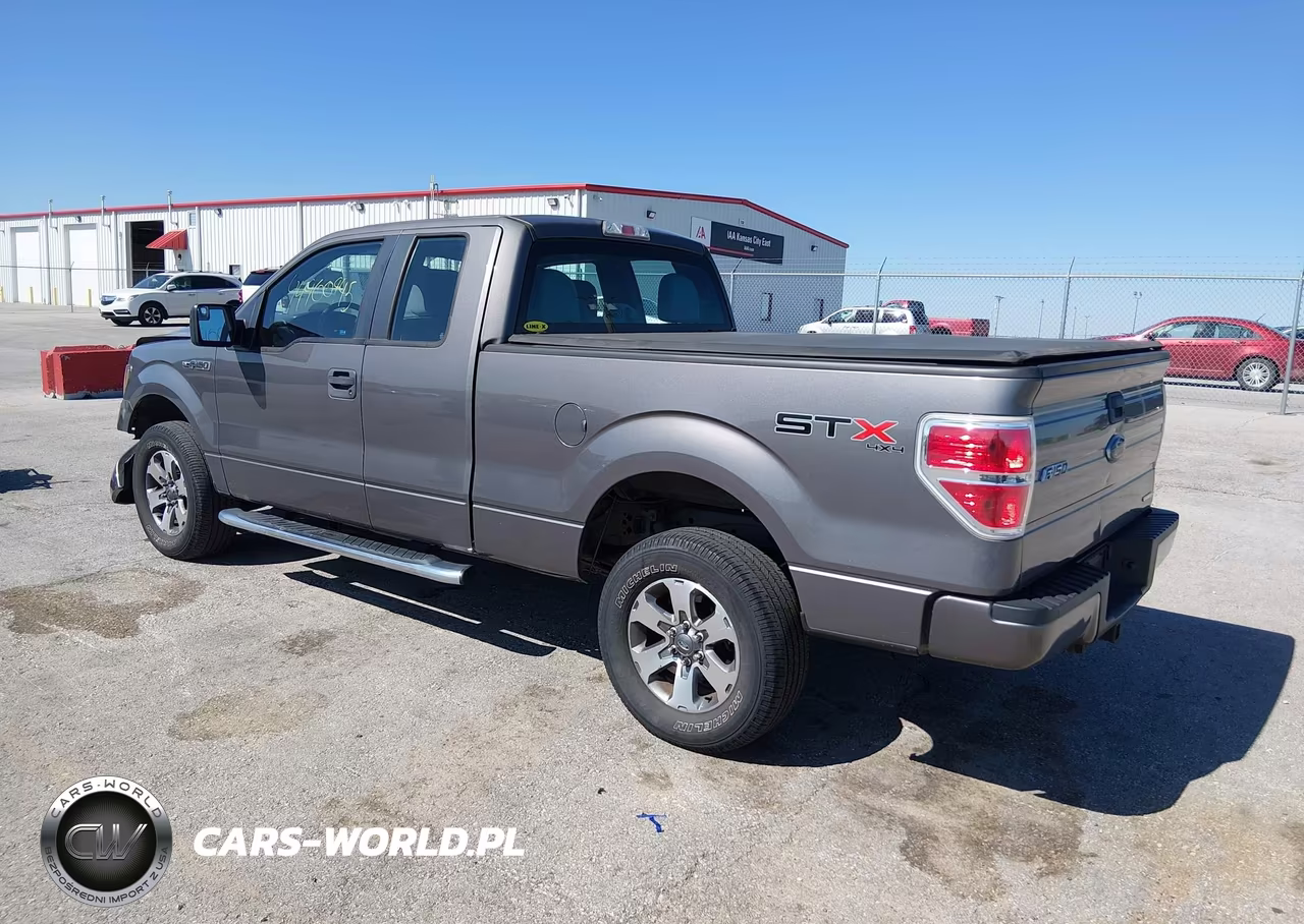 2013 Ford F-150 Stx VIN:1FTFX1EF1DKF14488 - 3