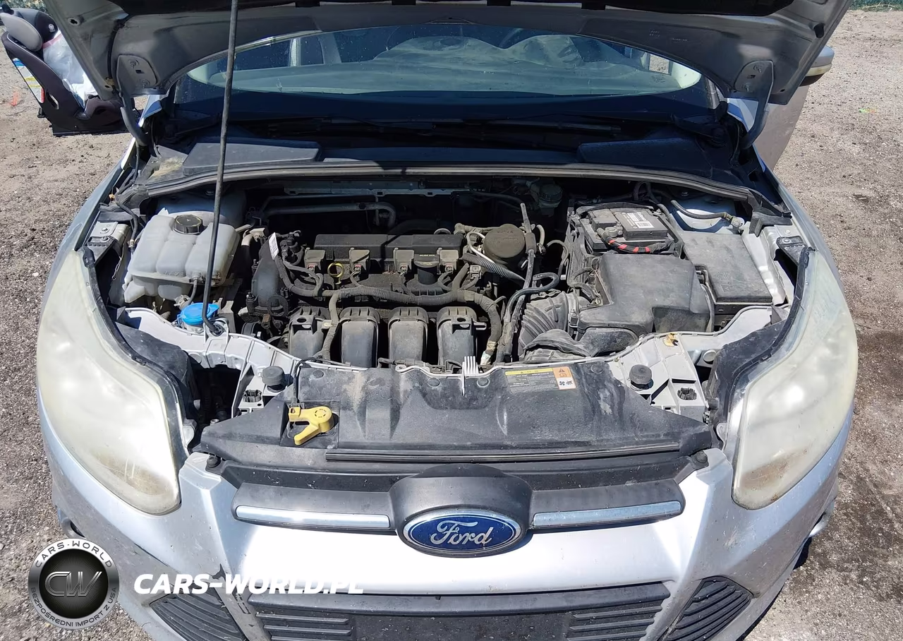 2013 Ford Focus Se VIN:1FADP3K29DL254927 - 10