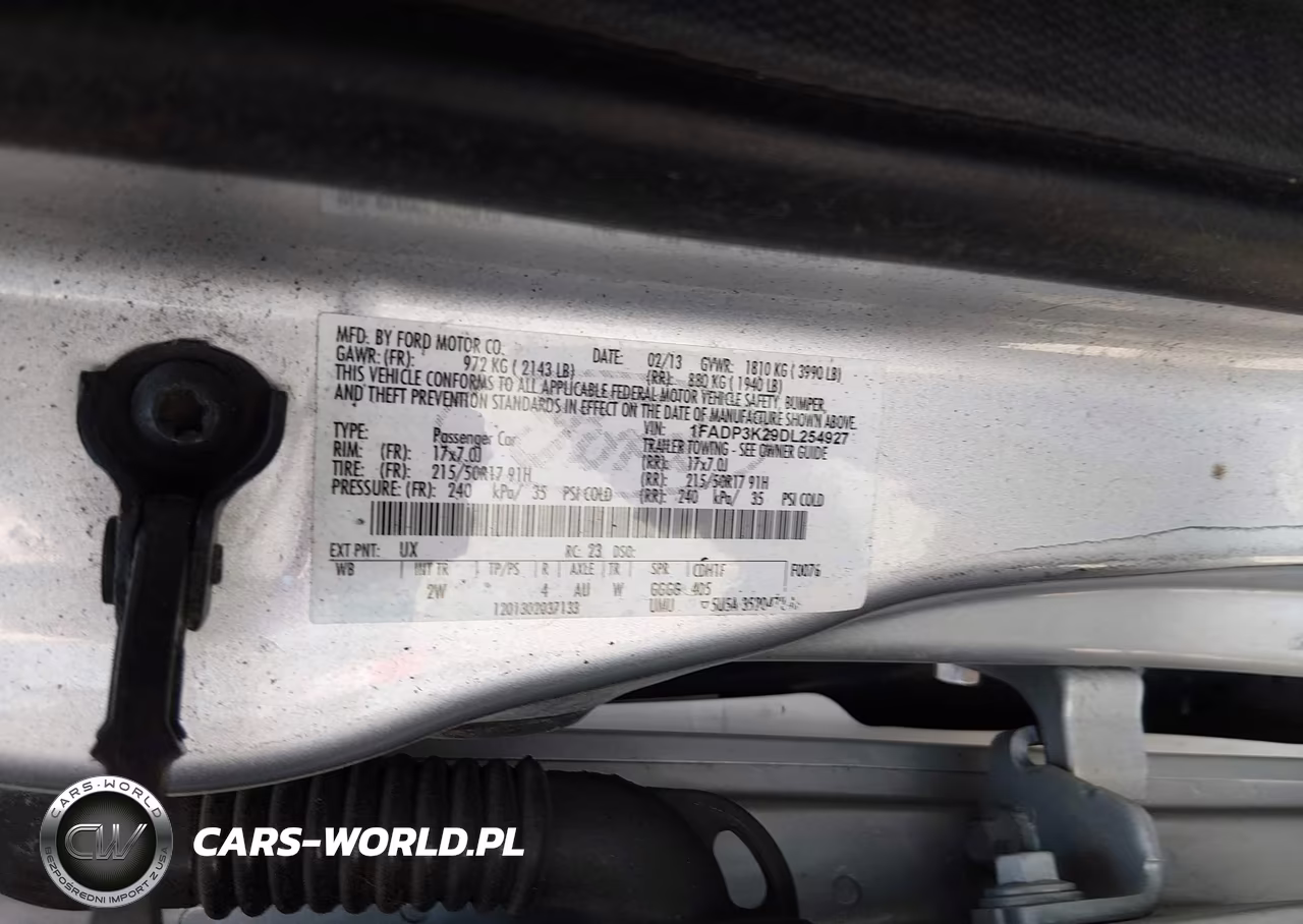 2013 Ford Focus Se VIN:1FADP3K29DL254927 - 9