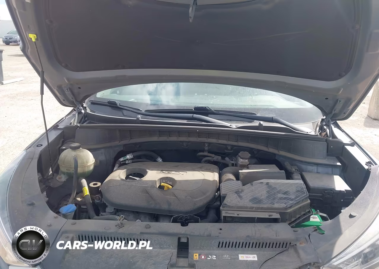 2019 Hyundai Tucson Se VIN:KM8J2CA49KU939639 - 10