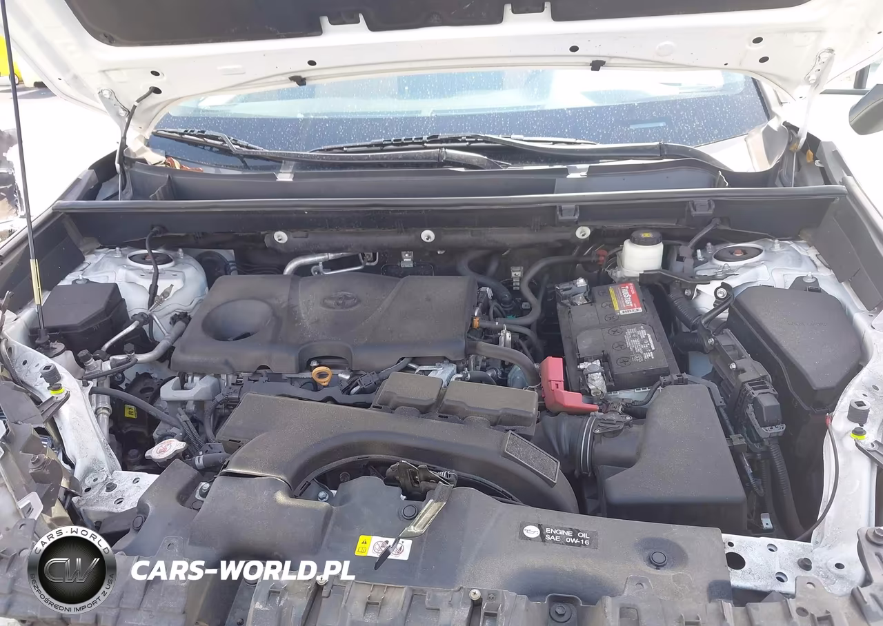 2020 Toyota Rav4 Xle VIN:2T3W1RFV2LC050480 - 10
