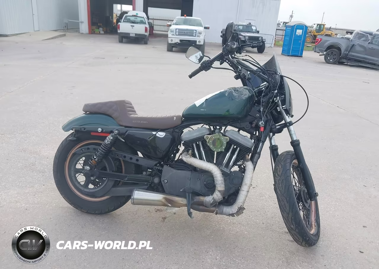 2009 Harley-Davidson Xl1200 N VIN:1HD1CZ3329K431624 - 12