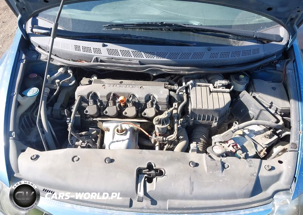 2010 Honda Civic Lx VIN:2HGFA1F56AH317344 - 10
