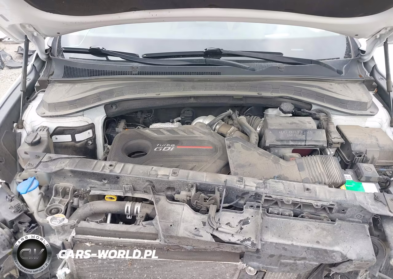 2020 Hyundai Santa Fe Limited 2.0T VIN:5NMS53AA2LH290975 - 10