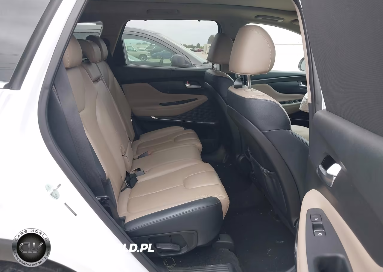 2020 Hyundai Santa Fe Limited 2.0T VIN:5NMS53AA2LH290975 - 8