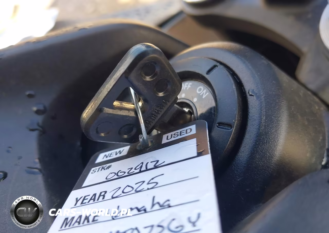 2025 Yamaha Mtn690 VIN:JYARM48E2SA002912 - 11