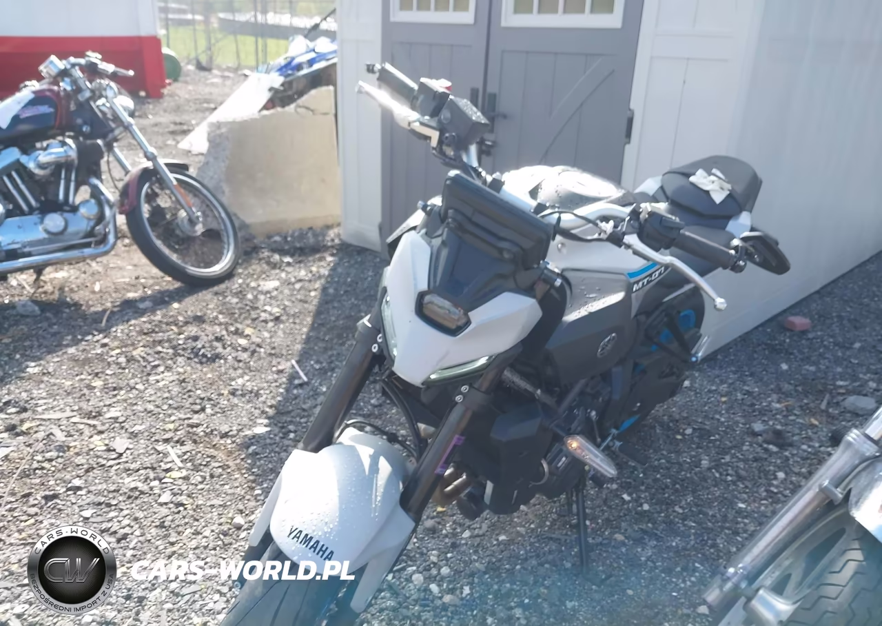 2025 Yamaha Mtn690 VIN:JYARM48E2SA002912 - 2
