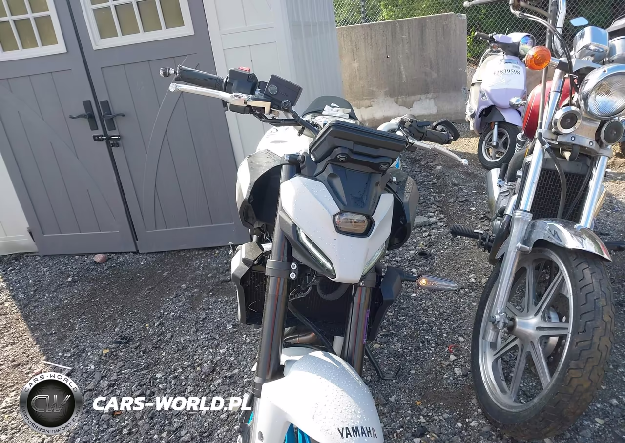 2025 Yamaha Mtn690 VIN:JYARM48E2SA002912 - 5