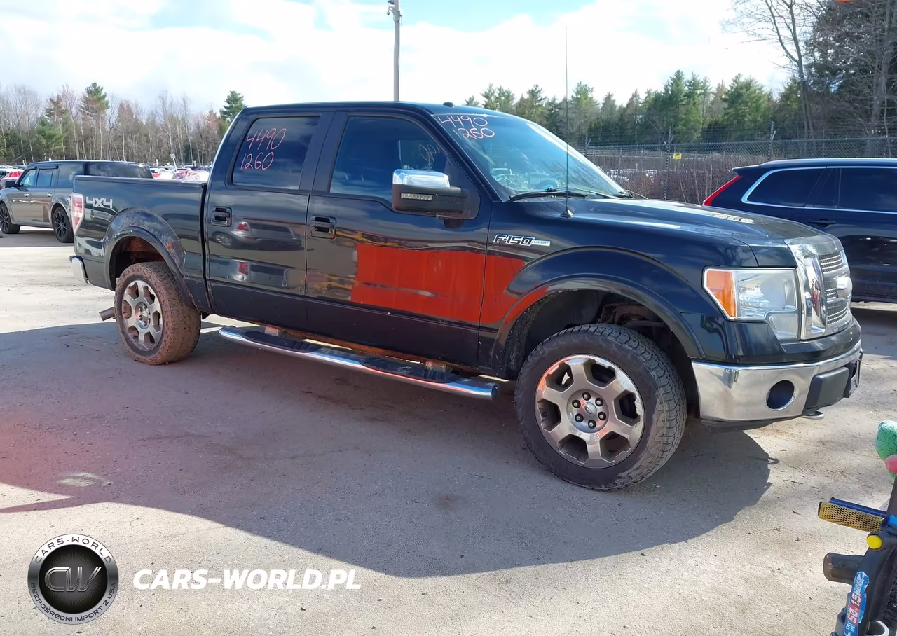 2009 Ford F-150 Fx4-King Ranch-Lariat-Platinum-Xl-Xlt