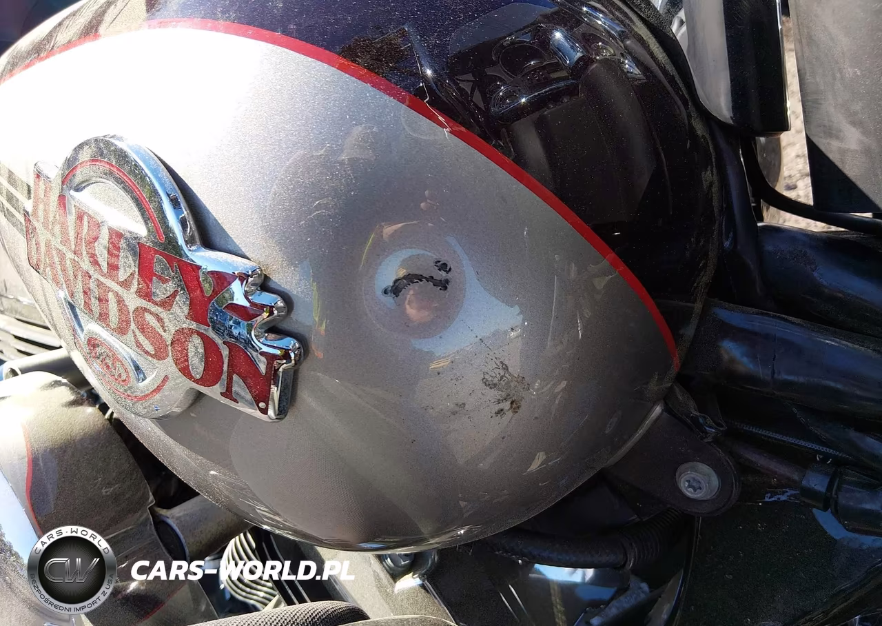 2007 Harley-Davidson Flhtcui VIN:1HD1FC41X7Y665876 - 18