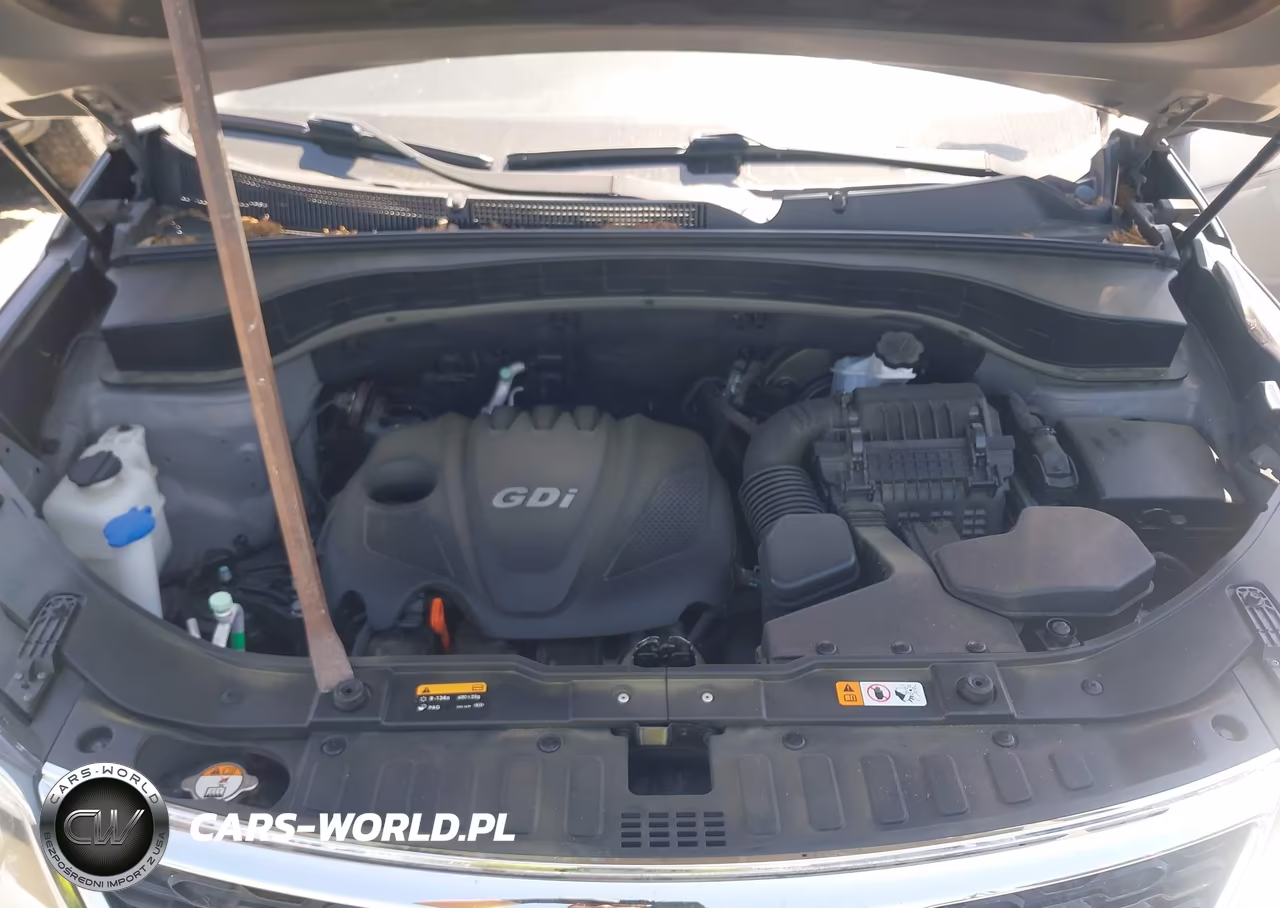 2014 Kia Sorento Lx VIN:5XYKT4A62EG433007 - 10