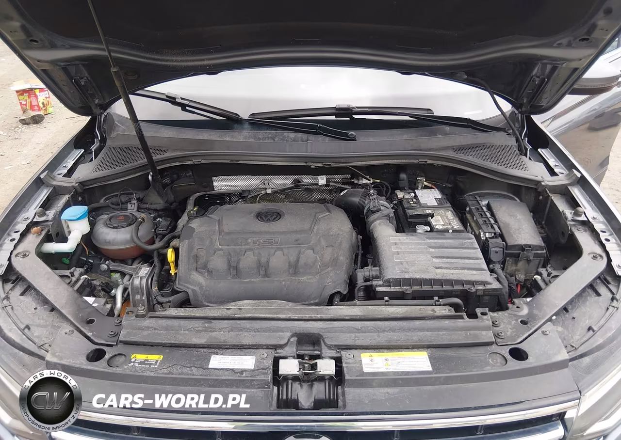 2024 Volkswagen Tiguan 2.0T Se-2.0T Wolfsburg Edition VIN:3VVMB7AX3RM135145 - 10