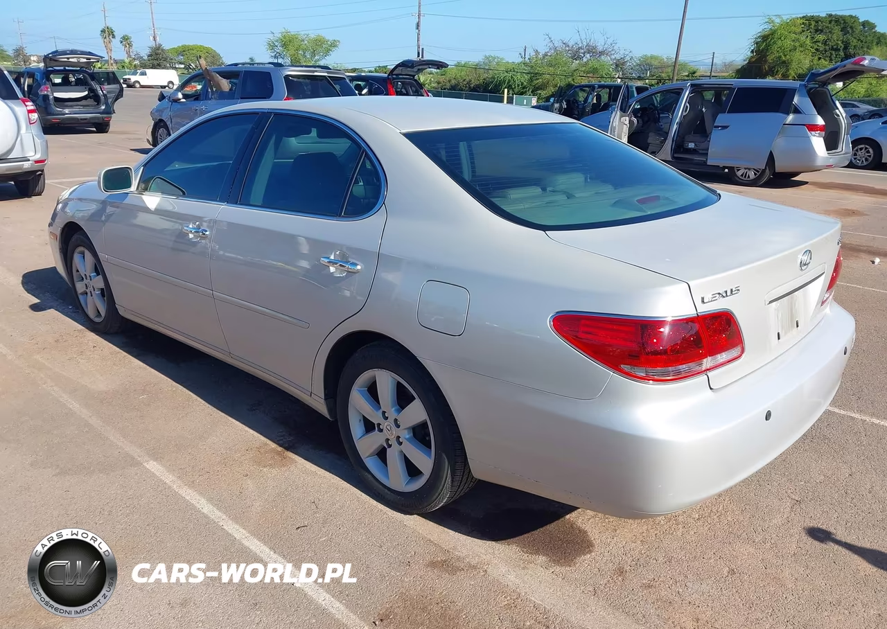 2006 Lexus Es 330 VIN:JTHBA30GX65171465 - 3