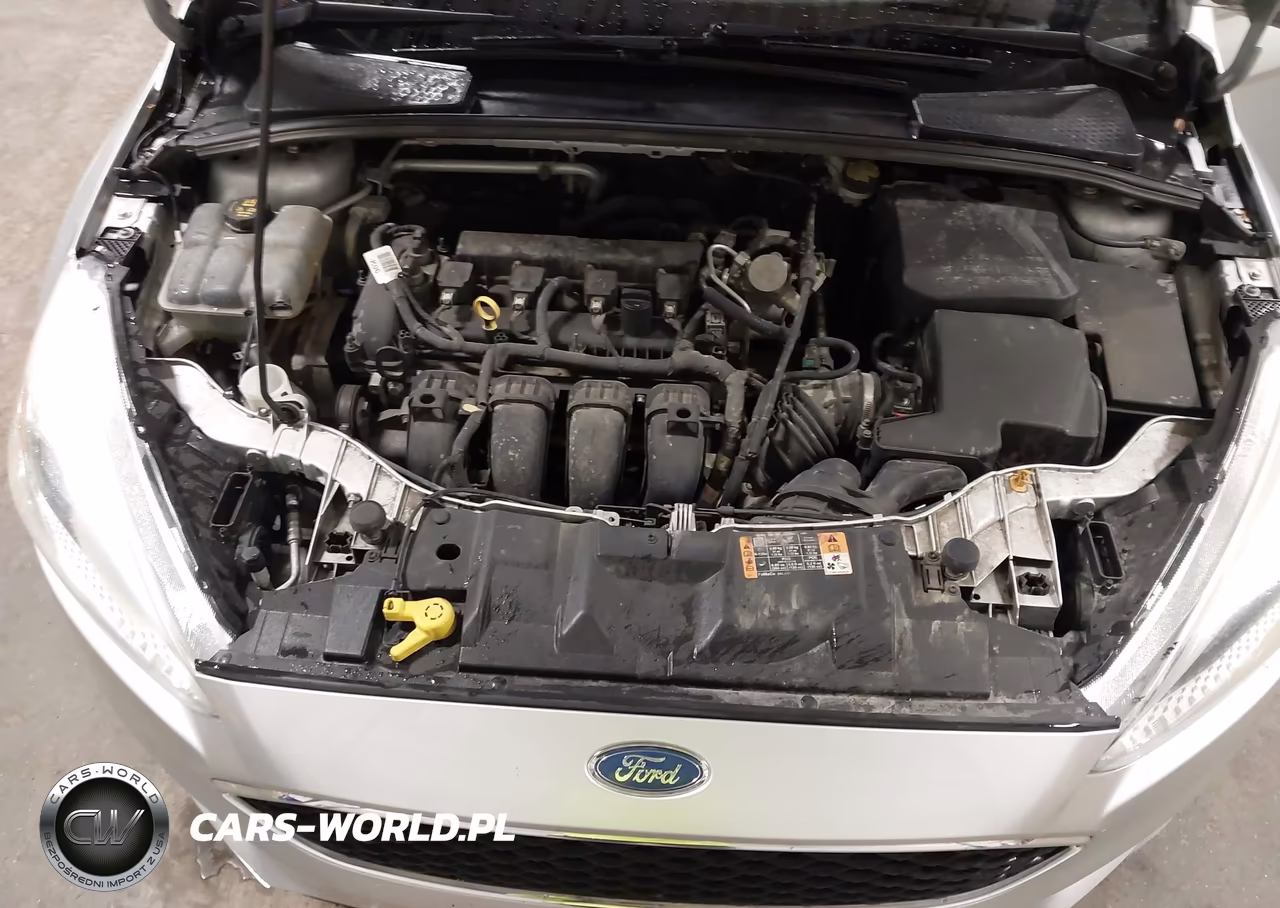 2016 Ford Focus Se VIN:1FADP3K26GL369893 - 10