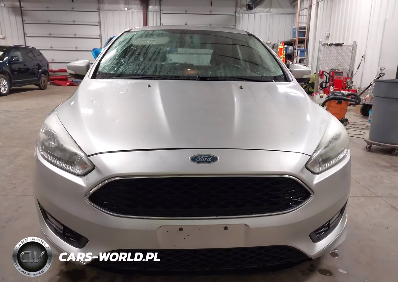 2016 Ford Focus Se VIN:1FADP3K26GL369893 - 12