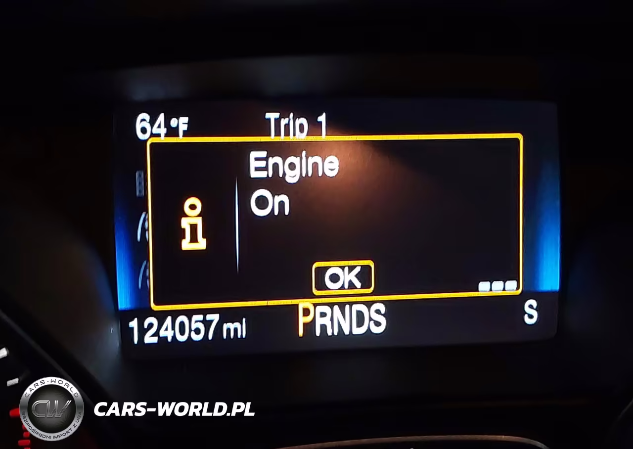2016 Ford Focus Se VIN:1FADP3K26GL369893 - 15