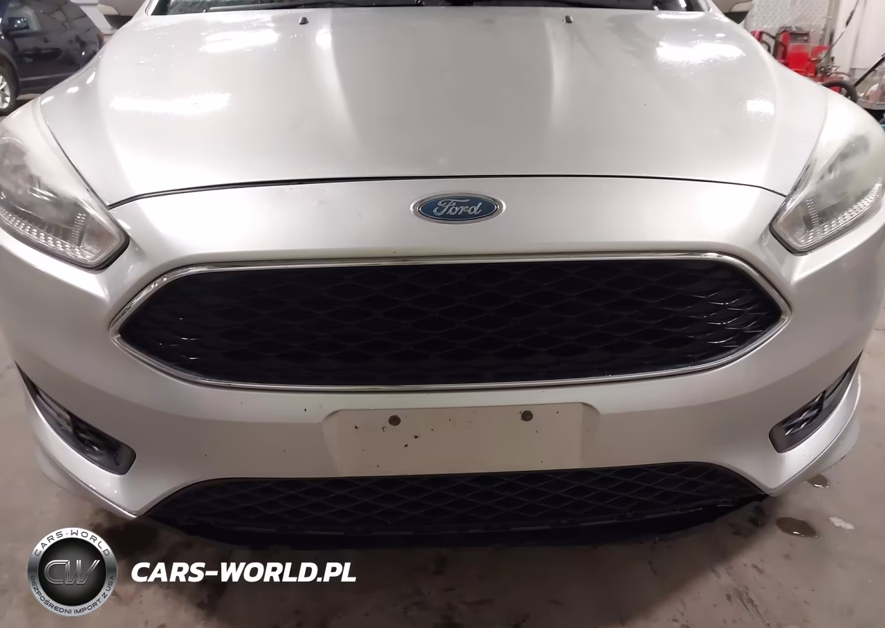 2016 Ford Focus Se VIN:1FADP3K26GL369893 - 17