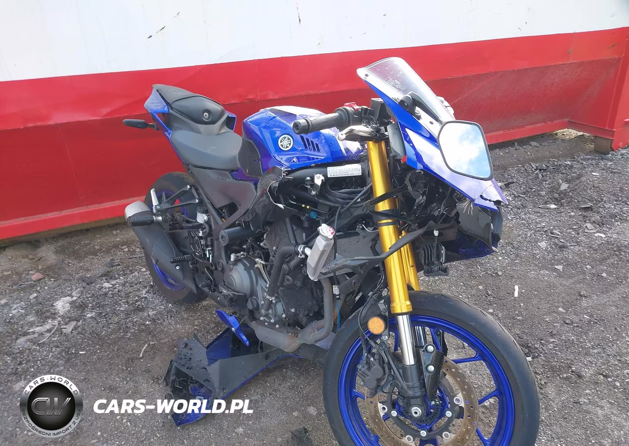 2025 Yamaha Yfz320 A