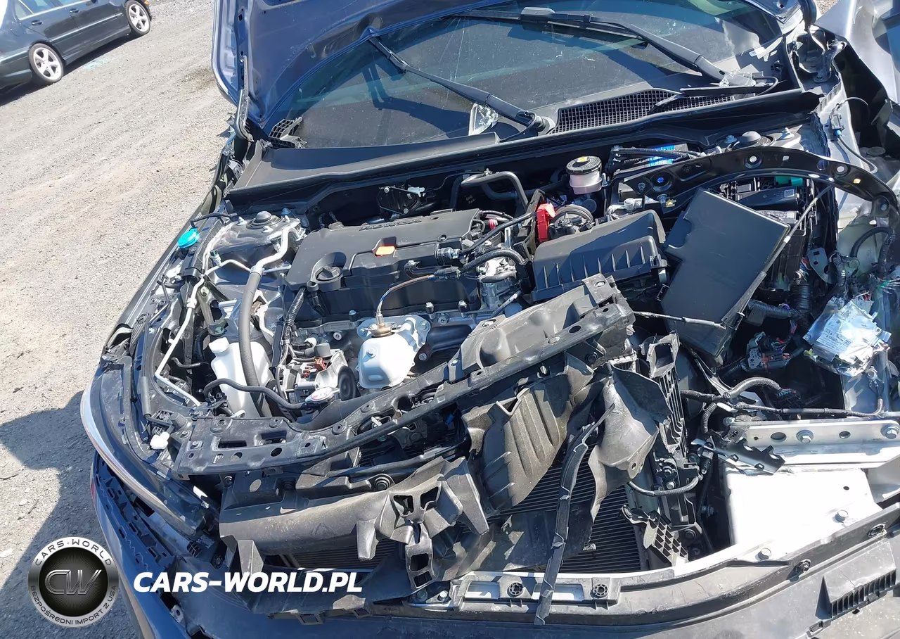 2024 Honda Civic Sport VIN:2HGFE2F55RH564411 - 10