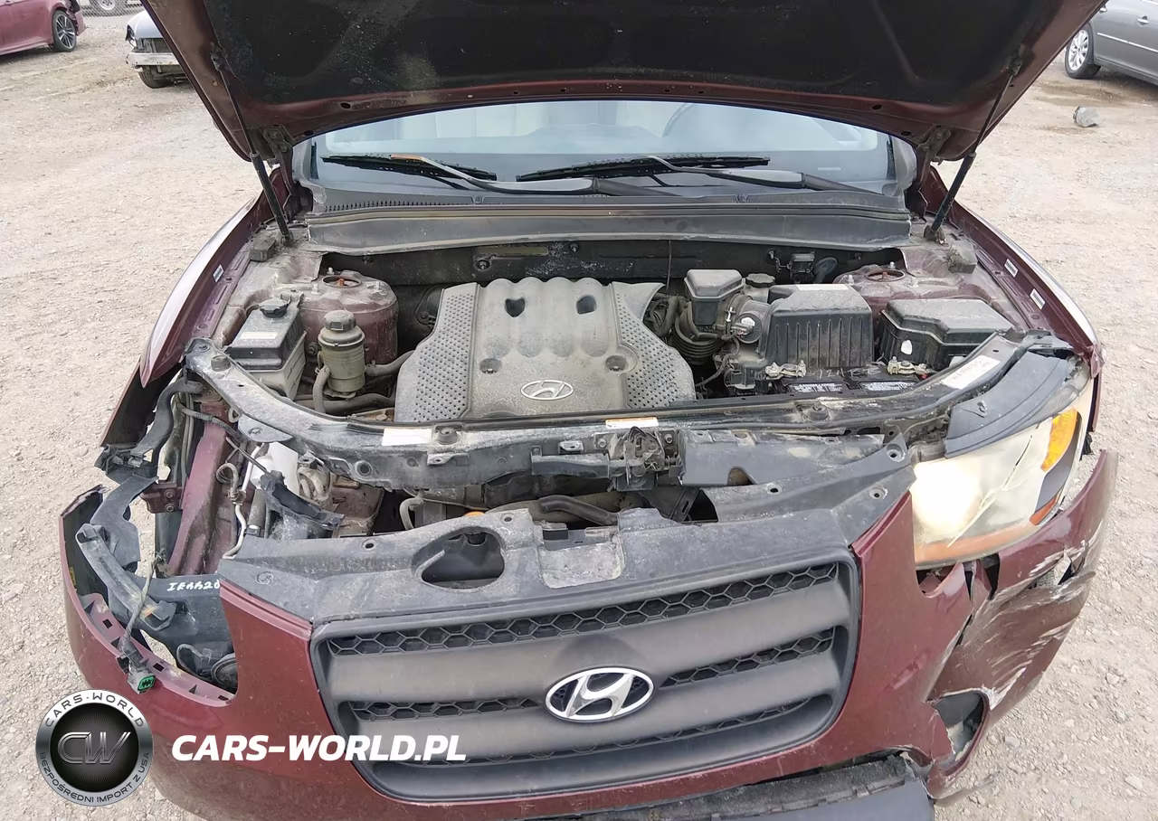 2008 Hyundai Santa Fe Gls VIN:5NMSG13D48H148401 - 10