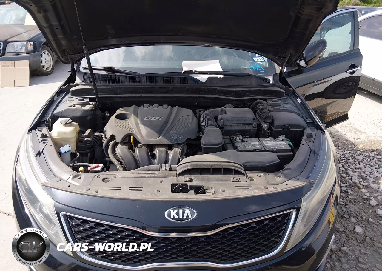 2015 Kia Optima Lx VIN:5XXGM4A73FG456538 - 10