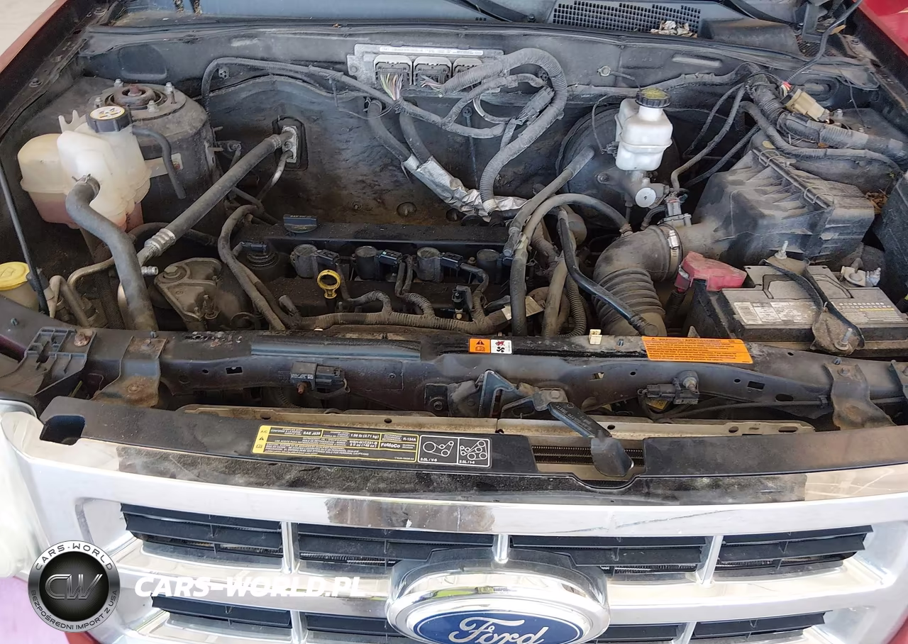 2011 Ford Escape Limited VIN:1FMCU0E78BKB45135 - 10
