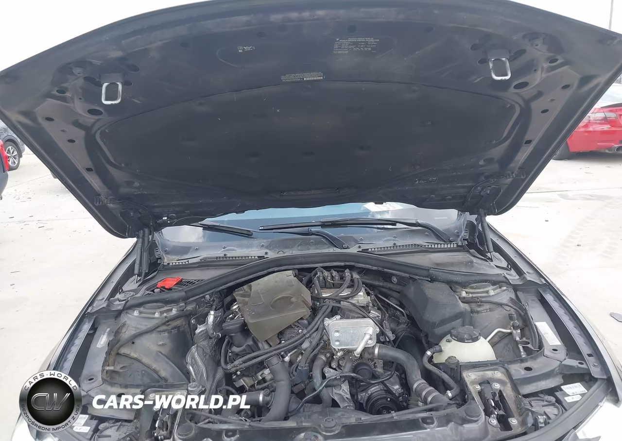 2016 BMW 428I VIN:WBA3N7C55GK226979 - 10