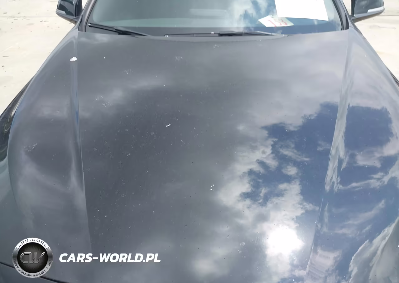 2016 BMW 428I VIN:WBA3N7C55GK226979 - 6