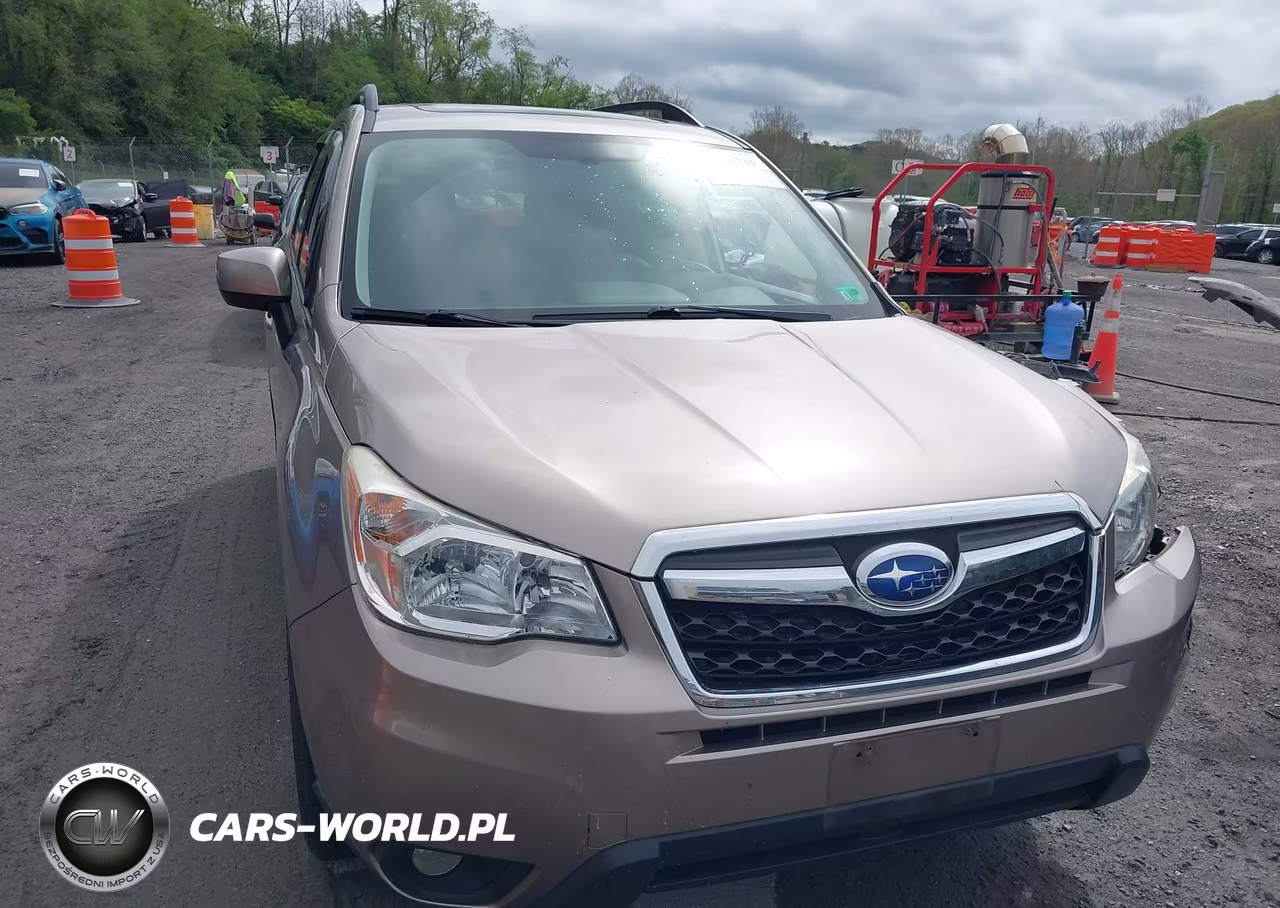 2016 Subaru Forester 2.5I Limited VIN:JF2SJAHC1GH554042 - 12
