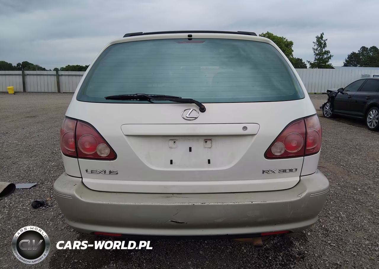 2000 Lexus Rx 300 VIN:JT6GF10U9Y0049707 - 16