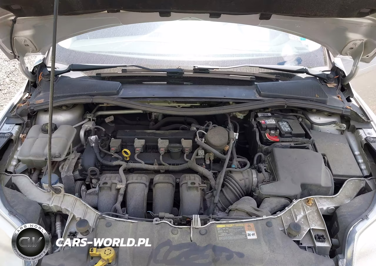 2014 Ford Focus Se VIN:1FADP3K21EL141541 - 10