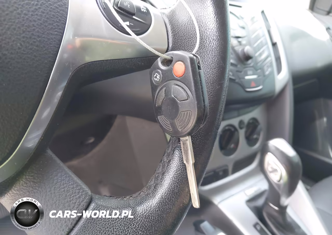 2014 Ford Focus Se VIN:1FADP3K21EL141541 - 11