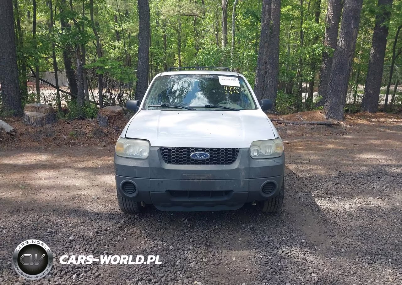 2007 Ford Escape Xlt VIN:1FMCU03Z67KB87010 - 12