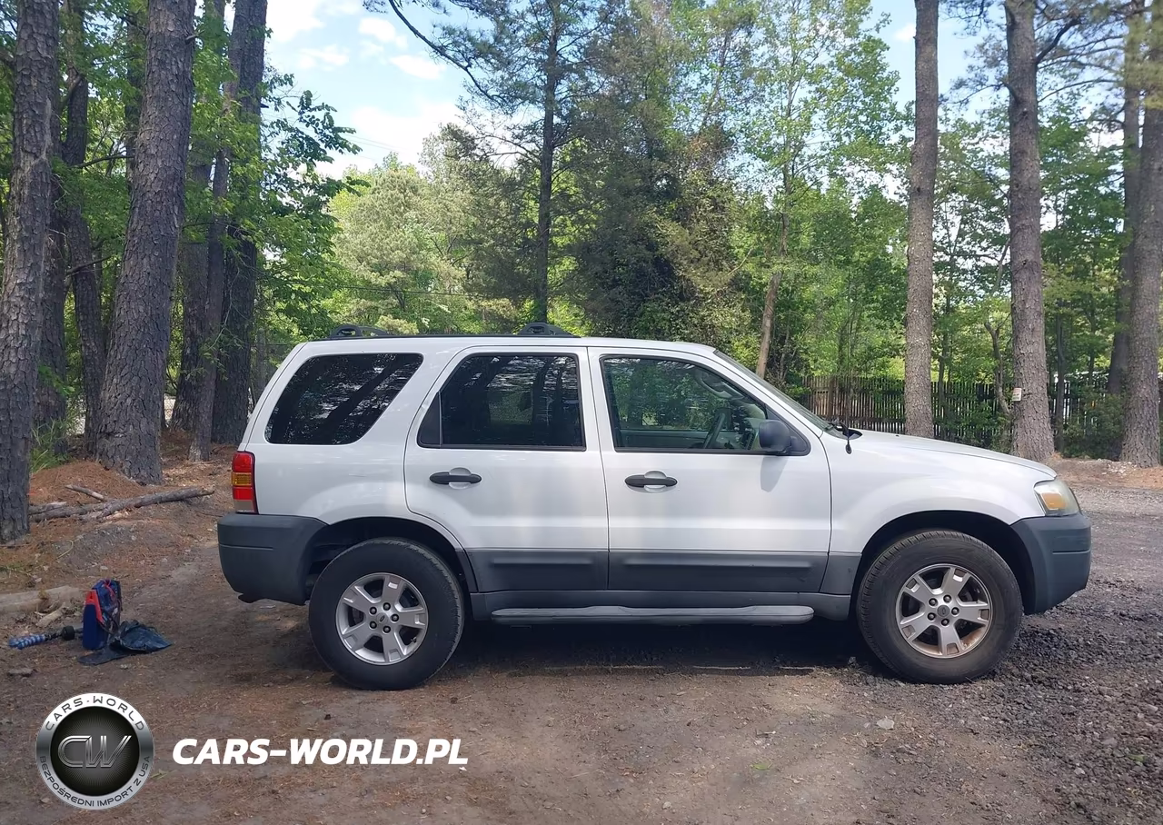 2007 Ford Escape Xlt VIN:1FMCU03Z67KB87010 - 13