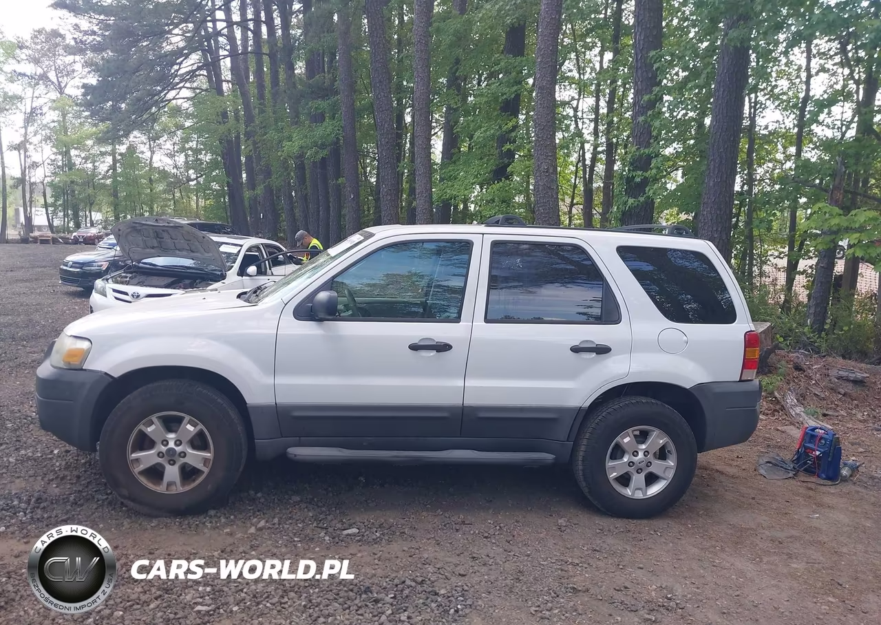 2007 Ford Escape Xlt VIN:1FMCU03Z67KB87010 - 14