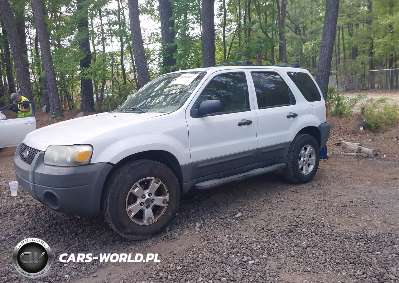 2007 Ford Escape Xlt VIN:1FMCU03Z67KB87010 - 2