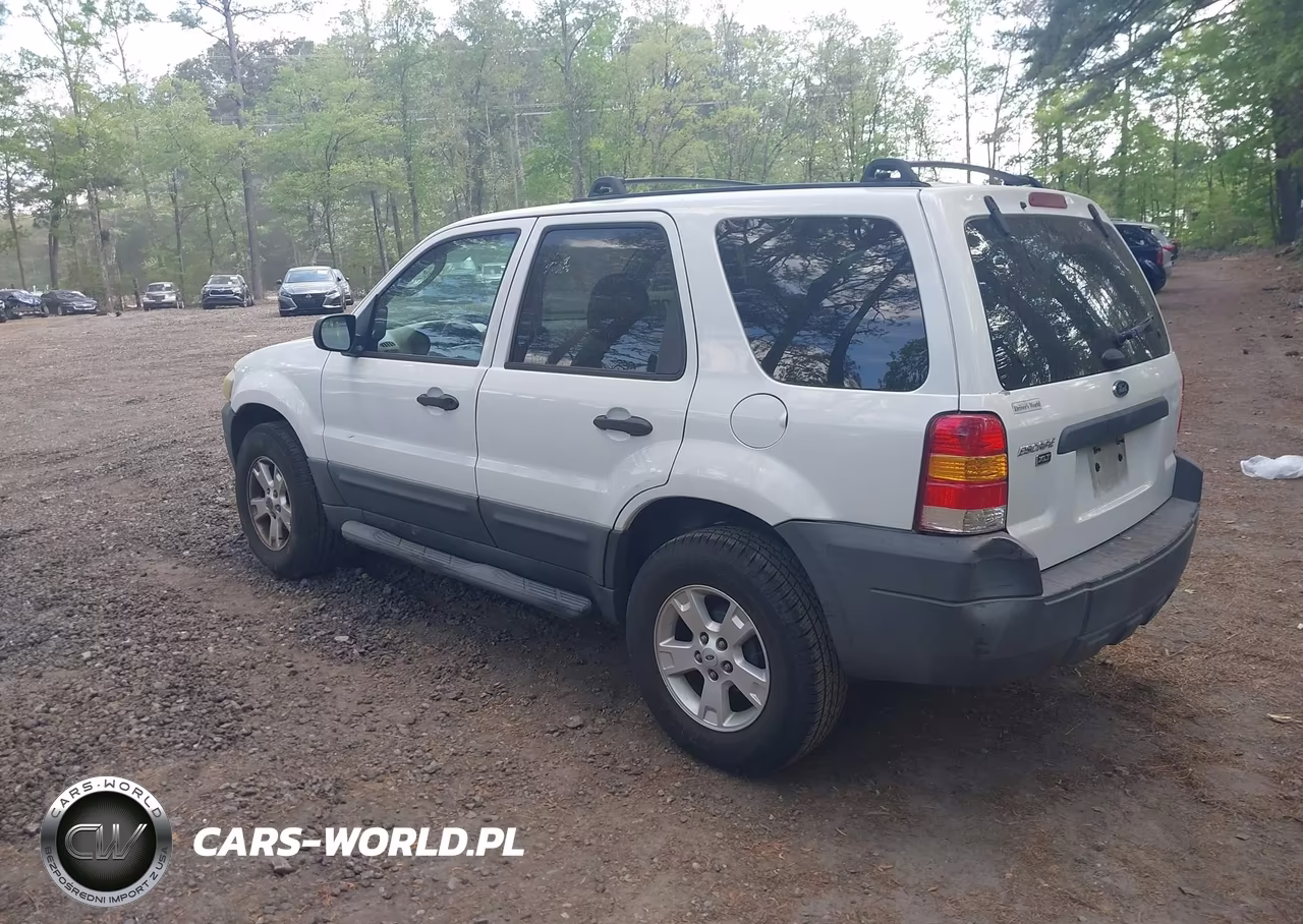 2007 Ford Escape Xlt VIN:1FMCU03Z67KB87010 - 3