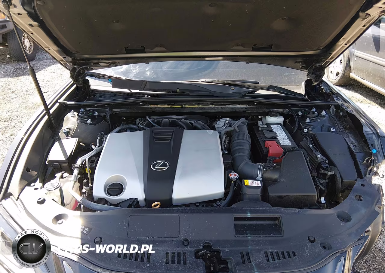 2025 Lexus Es 350 F Sport Handling VIN:58AJZ1B10SU197614 - 10