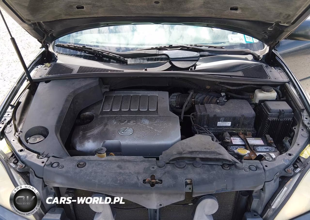 2007 Lexus Rx 350 VIN:2T2HK31U37C045025 - 10