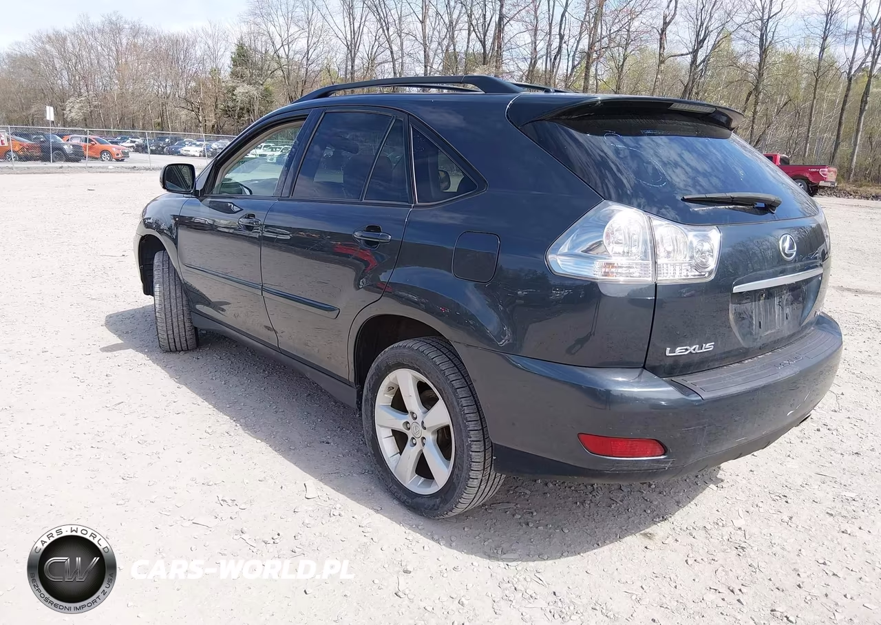 2007 Lexus Rx 350 VIN:2T2HK31U37C045025 - 3