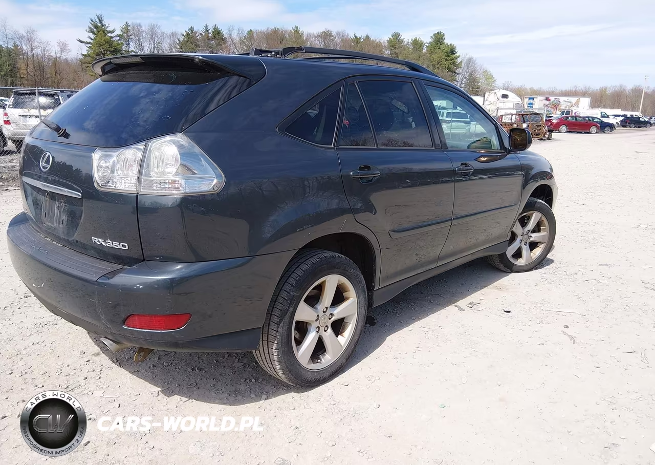 2007 Lexus Rx 350 VIN:2T2HK31U37C045025 - 4