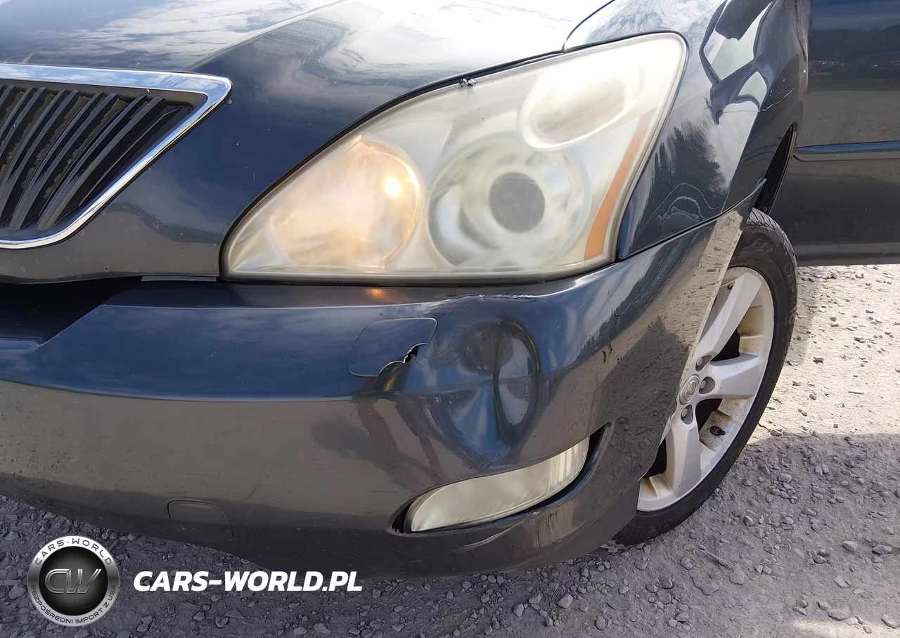 2007 Lexus Rx 350 VIN:2T2HK31U37C045025 - 6