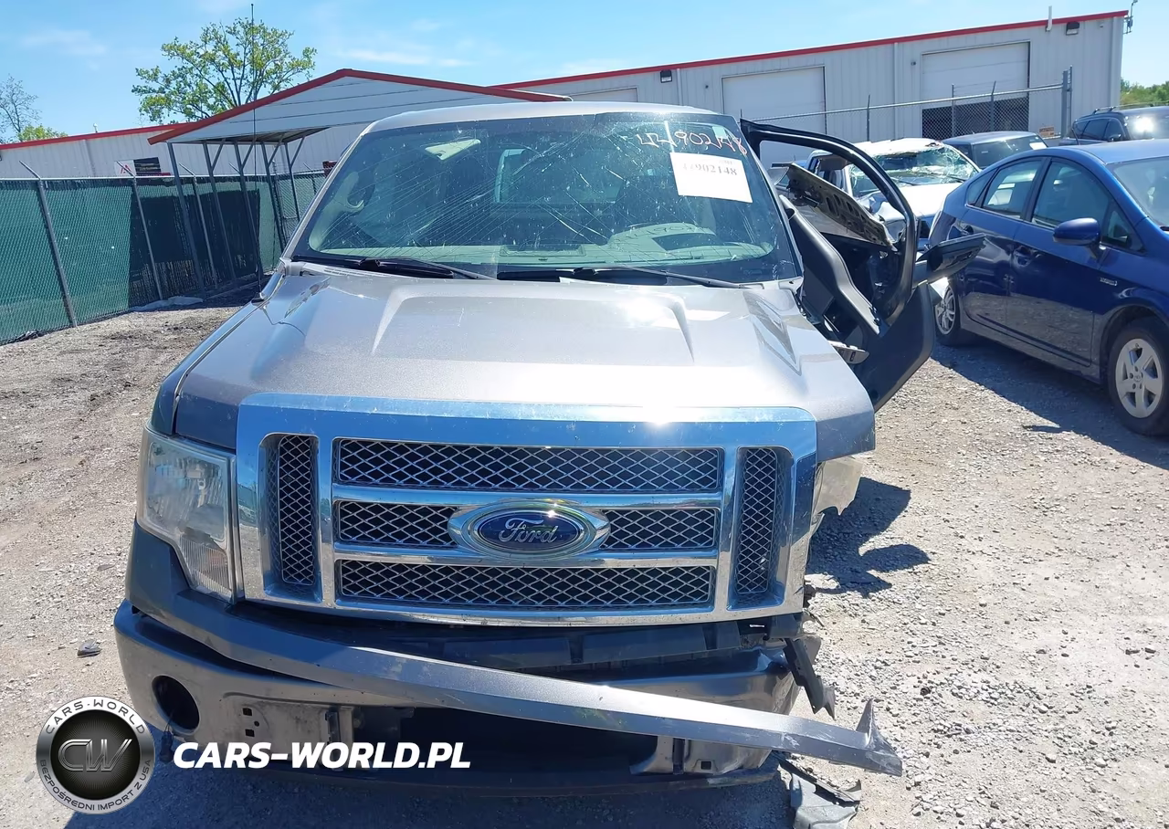 2009 Ford F-150 Stx-Xl VIN:1FTRX12W59FA47643 - 13