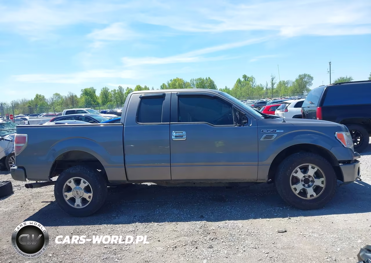 2009 Ford F-150 Stx-Xl VIN:1FTRX12W59FA47643 - 14