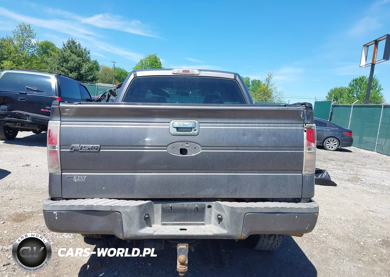 2009 Ford F-150 Stx-Xl VIN:1FTRX12W59FA47643 - 17