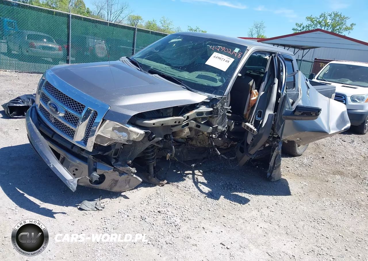 2009 Ford F-150 Stx-Xl VIN:1FTRX12W59FA47643 - 2