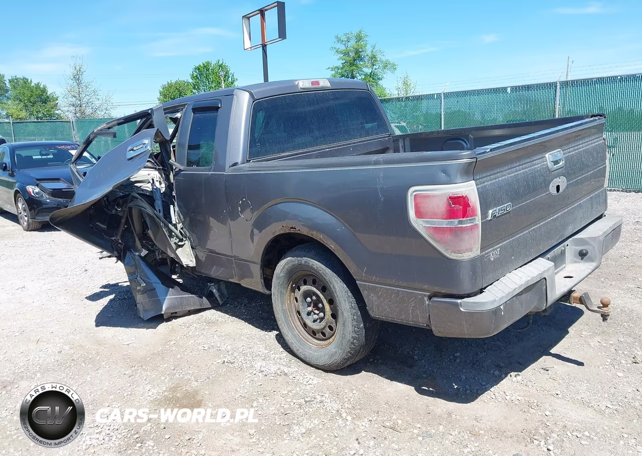 2009 Ford F-150 Stx-Xl VIN:1FTRX12W59FA47643 - 3