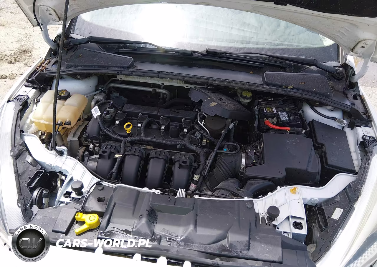 2016 Ford Focus Se VIN:1FADP3F22GL261359 - 10
