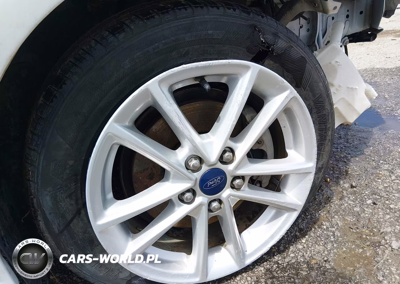 2016 Ford Focus Se VIN:1FADP3F22GL261359 - 12